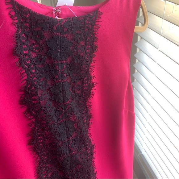 NWT LOFT Sleeveless Magenta Shift Dress Sz 16 - Picture 8 of 11